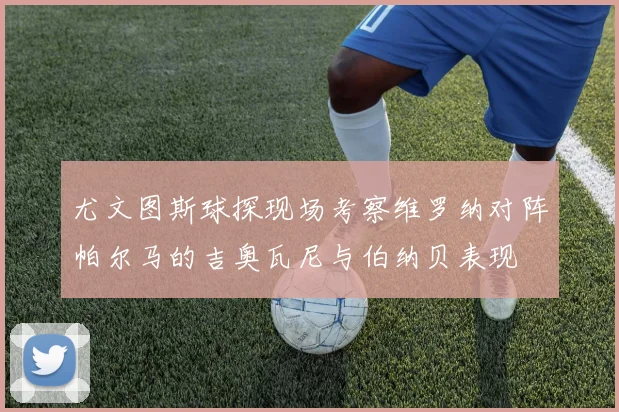 尤文图斯球探现场考察维罗纳对阵帕尔马的吉奥瓦尼与伯纳贝表现