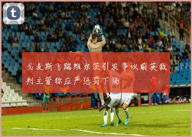 戈麦斯飞踹维尔茨引发争议前英裁判主管称应严惩罚下场