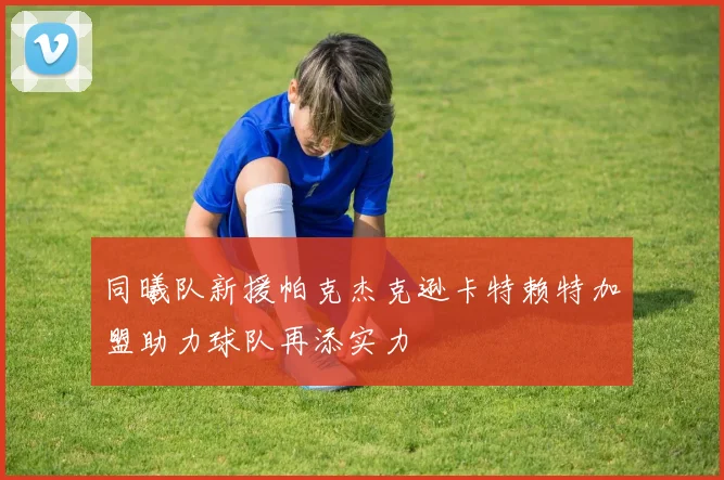 同曦队新援帕克杰克逊卡特赖特加盟助力球队再添实力