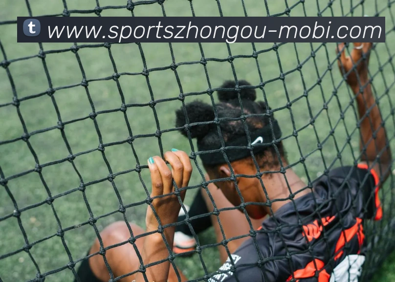 中欧体育品牌故事