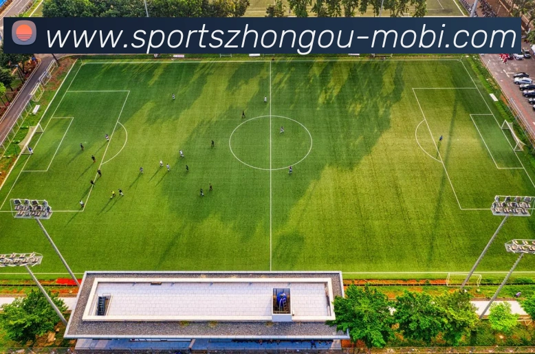 多媒体互动体验